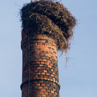 Zde je čapí hnízdo viditelně ke škodě...