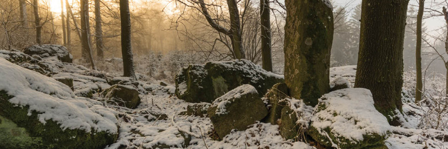Hřebínek Mehelníku
