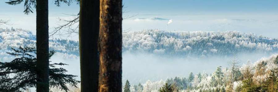 Vyhlídka z Paseckého