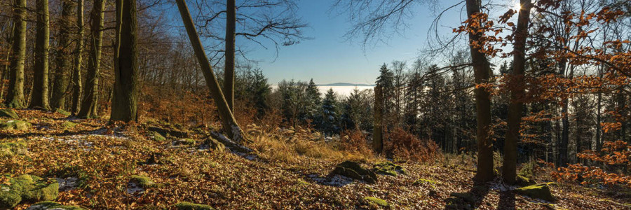 Z Paseckého směrem na Kleť