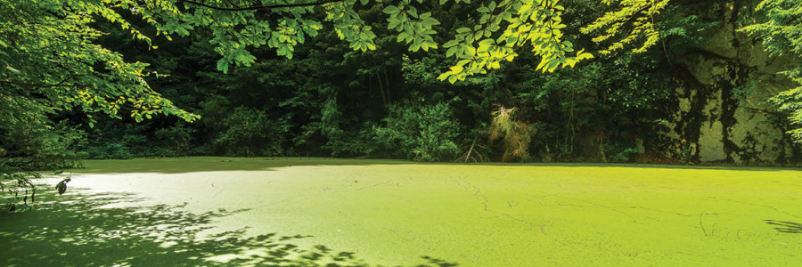 Lomeček pod Mehelníkem