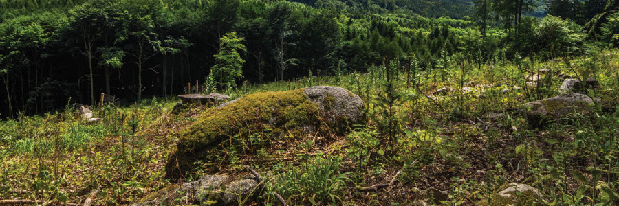 Výhled z Mehelníku na Svícny a Šumavu